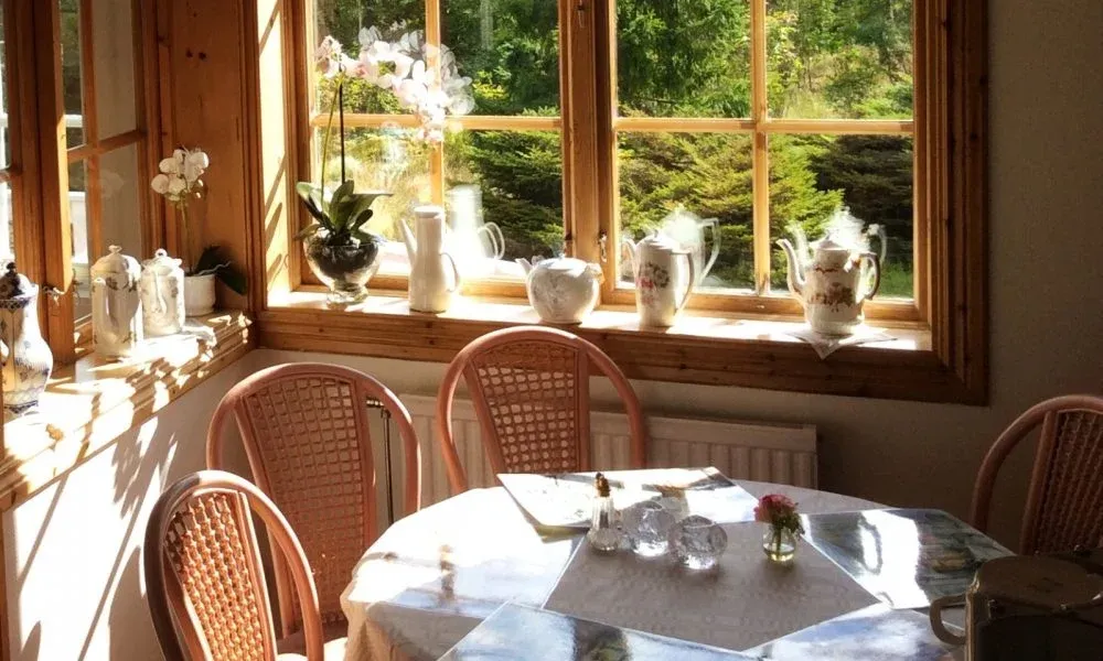 Dukat bord vid fönstret i restaurangen med utsikt mot träden utanför.